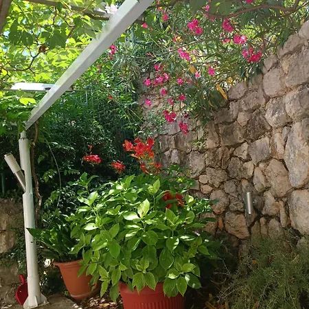 River & Garden * 特雷比涅